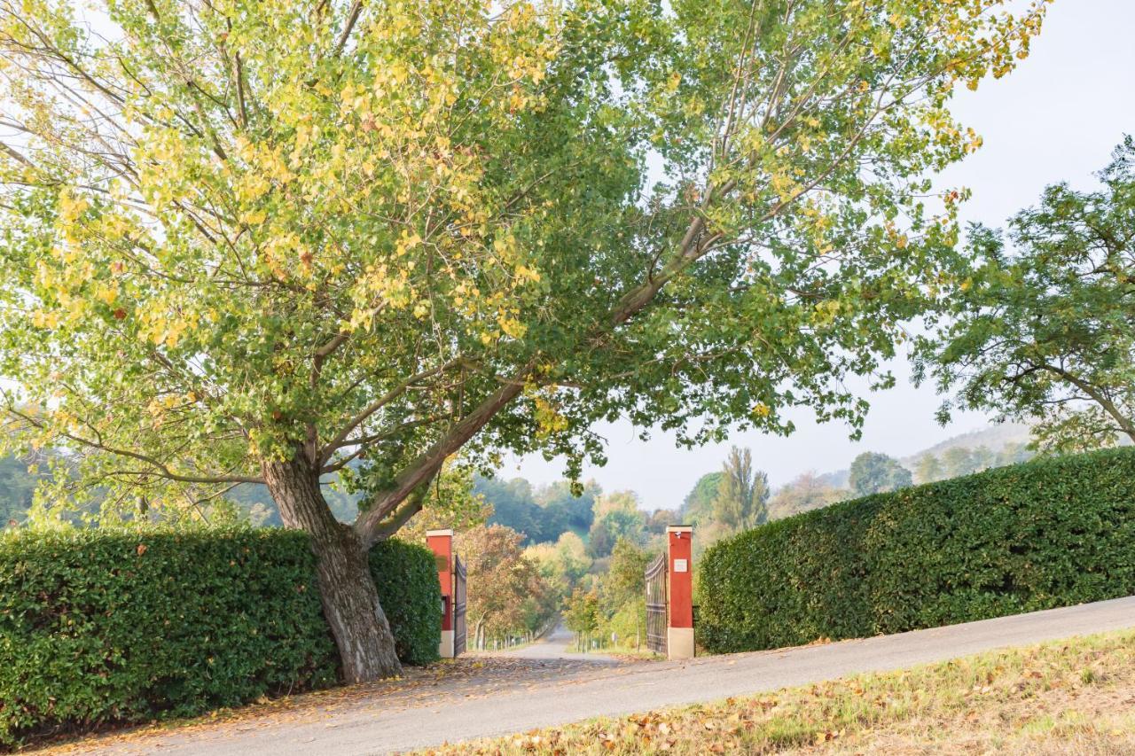 Ca Palazzo Malvasia - Bolognarooms Sasso Marconi Exterior foto